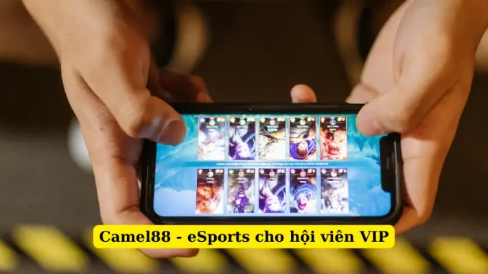 Camel88 - eSports cho hội viên VIP